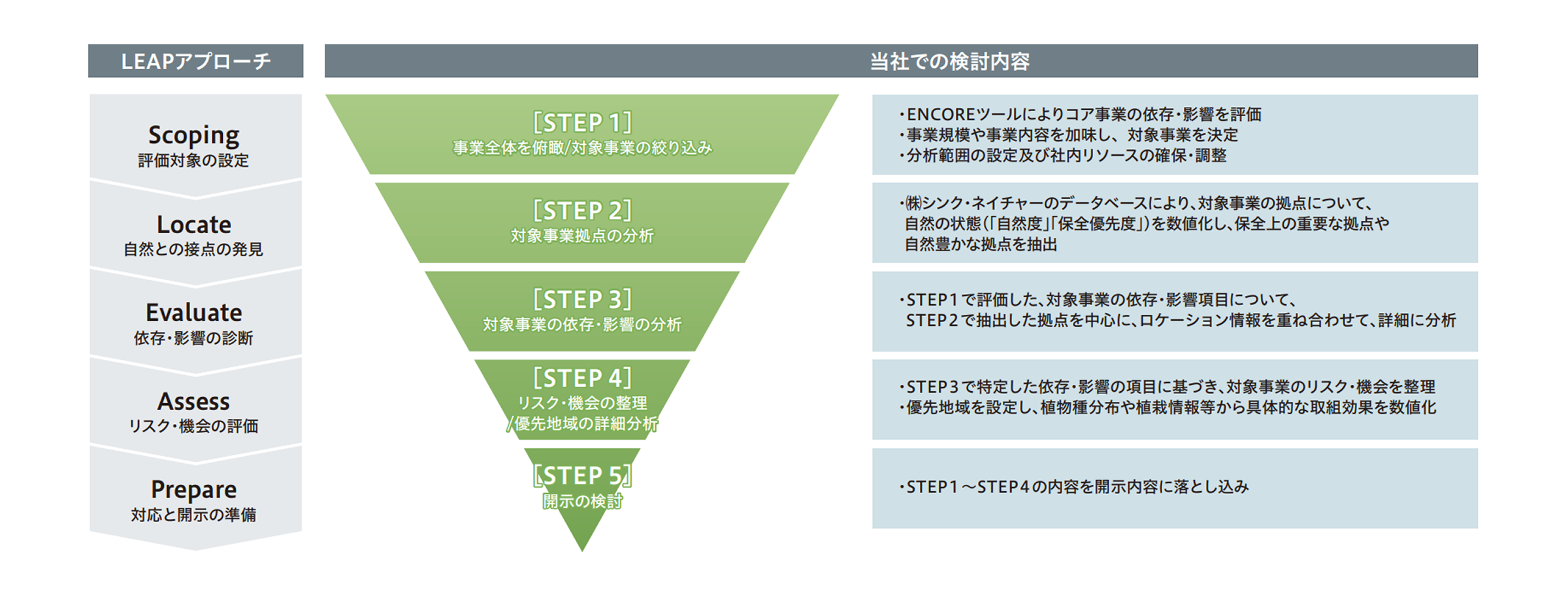 LEAPアプローチに基づいた分析ステップ