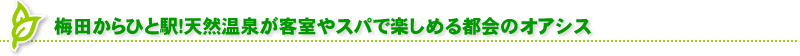 梅田からひと駅！天然温泉が客室やスパで楽しめる都会のオアシス