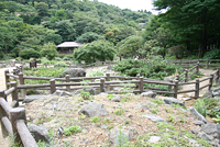 開園80周年のシンボル「80本の苗木」