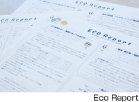 ECO Report