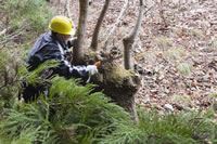 親子が一つとなって楽しむトーナメント